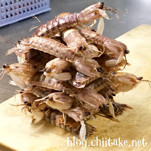 茹でた蝦蛄 シャコ の殻の剥き方 剥いた殻で出汁を取ってみた 時の記憶