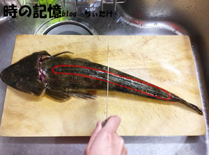 マゴチのさばき方 釣ったマゴチを煮付け 刺身 天ぷらにしました 時の記憶